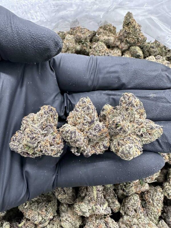 Dispensary
