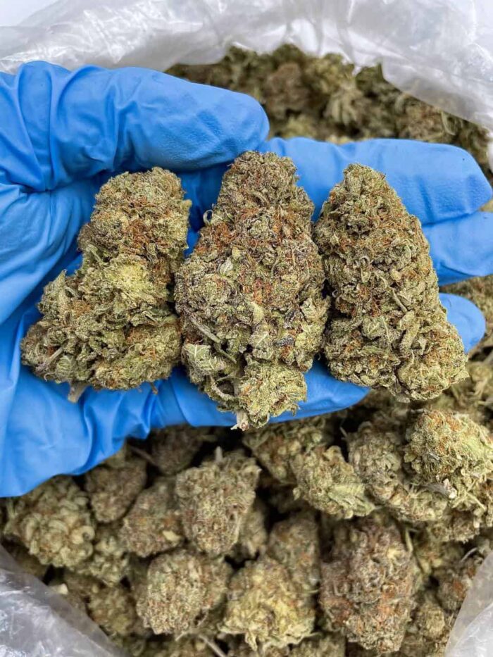 Cannabis Flowers