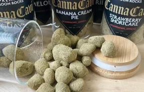 Indica vs Sativa