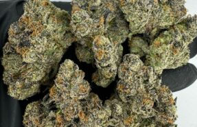 Best Weed Storage