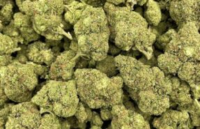 Cannabis Flower
