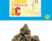 Cannabis Dispensary